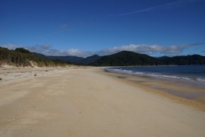 DSC00831   
