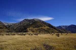 DSC00300 