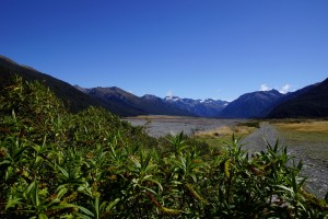 DSC00306 