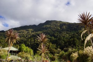 DSC00341 