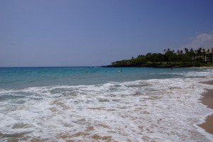 DSC03224