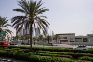 DSC00204 