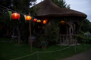 DSC01544   