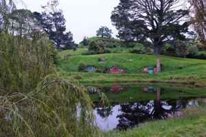 DSC01557   