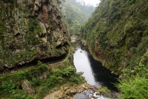 DSC01601    