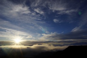 DSC03641
