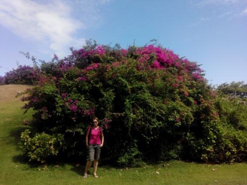 IMG 20160429 143820