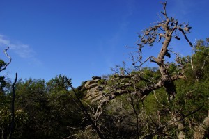 DSC02098  