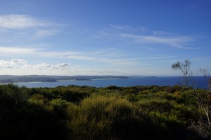 DSC02104  