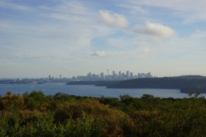 DSC02117  