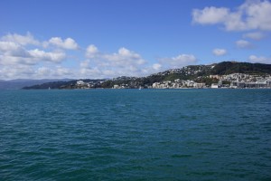 DSC00973 