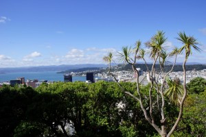 DSC01003 