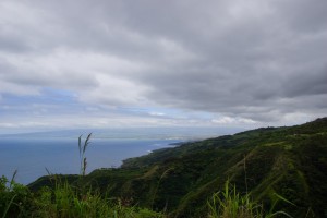 DSC03552